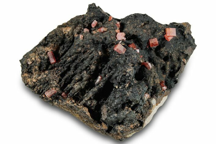 Small Red Vanadinite Crystals on Manganese Oxide - Morocco #292894